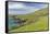 Sheep Fences and Rock Walls Along the Dingle Peninsula-Michael Nolan-Framed Stretched Canvas