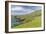 Sheep Fences and Rock Walls Along the Dingle Peninsula-Michael Nolan-Framed Photographic Print