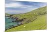 Sheep Fences and Rock Walls Along the Dingle Peninsula-Michael Nolan-Mounted Photographic Print