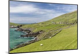 Sheep Fences and Rock Walls Along the Dingle Peninsula-Michael Nolan-Mounted Photographic Print