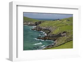 Sheep Fences and Rock Walls Along the Dingle Peninsula-Michael Nolan-Framed Photographic Print