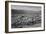 Sheep "Flock In Owens Valley 1941." 1941-Ansel Adams-Framed Art Print