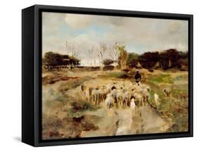 Sheep Flock-Anton Mauve-Framed Stretched Canvas