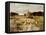 Sheep Flock-Anton Mauve-Framed Stretched Canvas