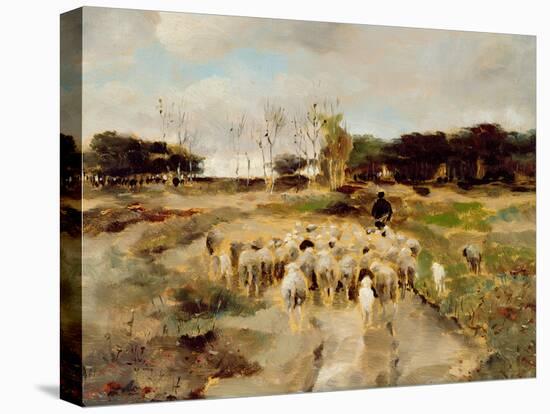 Sheep Flock-Anton Mauve-Stretched Canvas