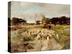 Sheep Flock-Anton Mauve-Stretched Canvas
