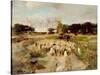 Sheep Flock-Anton Mauve-Stretched Canvas