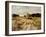 Sheep Flock-Anton Mauve-Framed Giclee Print