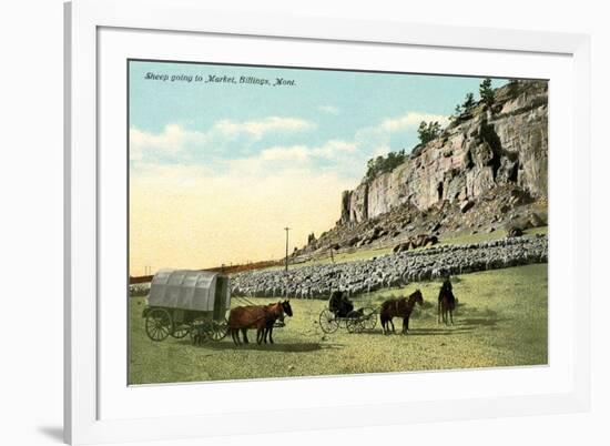 Sheep Going to Market, Billings-null-Framed Art Print