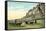Sheep Going to Market, Billings-null-Framed Stretched Canvas