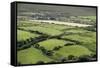 Sheep Graze on the Dingle Peninsula-Hal Beral-Framed Stretched Canvas