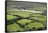 Sheep Graze on the Dingle Peninsula-Hal Beral-Framed Stretched Canvas