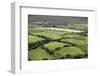 Sheep Graze on the Dingle Peninsula-Hal Beral-Framed Premium Photographic Print