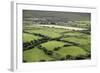 Sheep Graze on the Dingle Peninsula-Hal Beral-Framed Photographic Print