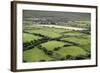 Sheep Graze on the Dingle Peninsula-Hal Beral-Framed Photographic Print