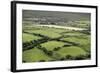 Sheep Graze on the Dingle Peninsula-Hal Beral-Framed Photographic Print
