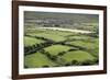 Sheep Graze on the Dingle Peninsula-Hal Beral-Framed Photographic Print