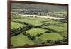 Sheep Graze on the Dingle Peninsula-Hal Beral-Framed Photographic Print