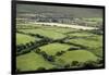 Sheep Graze on the Dingle Peninsula-Hal Beral-Framed Photographic Print