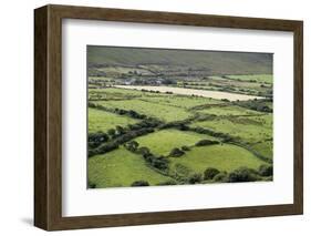 Sheep Graze on the Dingle Peninsula-Hal Beral-Framed Photographic Print