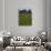 Sheep Graze-null-Premium Photographic Print displayed on a wall