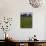 Sheep Graze-null-Mounted Photographic Print displayed on a wall