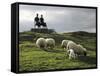 Sheep Grazing before the Henry Moore Sculpture-null-Framed Stretched Canvas