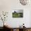 Sheep Grazing before the Henry Moore Sculpture-null-Photographic Print displayed on a wall