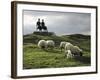 Sheep Grazing before the Henry Moore Sculpture-null-Framed Photographic Print