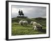 Sheep Grazing before the Henry Moore Sculpture-null-Framed Photographic Print