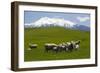 Sheep Grazing Beneath Mount Ruapehu-Stuart-Framed Photographic Print