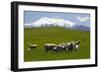 Sheep Grazing Beneath Mount Ruapehu-Stuart-Framed Photographic Print