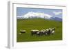 Sheep Grazing Beneath Mount Ruapehu-Stuart-Framed Photographic Print