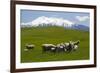 Sheep Grazing Beneath Mount Ruapehu-Stuart-Framed Photographic Print