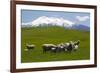 Sheep Grazing Beneath Mount Ruapehu-Stuart-Framed Photographic Print