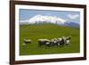 Sheep Grazing Beneath Mount Ruapehu-Stuart-Framed Photographic Print