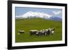 Sheep Grazing Beneath Mount Ruapehu-Stuart-Framed Photographic Print