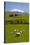Sheep Grazing Beneath Mount Ruapehu-Stuart-Stretched Canvas
