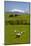 Sheep Grazing Beneath Mount Ruapehu-Stuart-Mounted Photographic Print