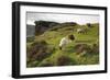 Sheep Grazing, Curbar Edge, Derbyshire, 2009-Peter Thompson-Framed Photographic Print