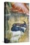 Sheep Grazing, Detail from Annuciation by Angel-Giovanni Da Milano-Stretched Canvas