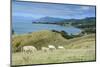 Sheep Grazing, Farewell Spit, South Island, New Zealand, Pacific-Michael Runkel-Mounted Photographic Print