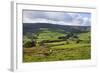 Sheep Grazing Farmland in Nidderdale-Mark Sunderland-Framed Photographic Print