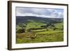 Sheep Grazing Farmland in Nidderdale-Mark Sunderland-Framed Photographic Print