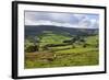 Sheep Grazing Farmland in Nidderdale-Mark Sunderland-Framed Photographic Print