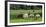 Sheep grazing in a field, Agrodome, State Highway 5, Rotorua, ay of Plenty, North Island, New Ze...-null-Framed Photographic Print