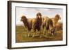 Sheep Grazing in a Meadow-Rosa Bonheur-Framed Giclee Print