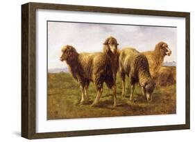 Sheep Grazing in a Meadow-Rosa Bonheur-Framed Giclee Print