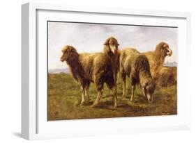 Sheep Grazing in a Meadow-Rosa Bonheur-Framed Giclee Print