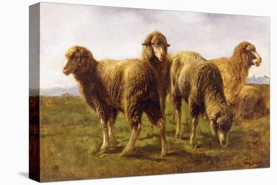 Sheep Grazing in a Meadow-Rosa Bonheur-Stretched Canvas